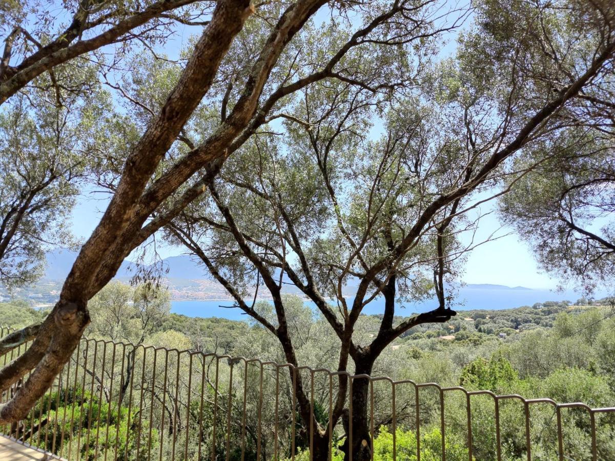 Residence Licciola Propriano  Εξωτερικό φωτογραφία